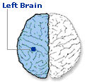 left brain